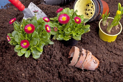 The image depicts a section of a garden with freshly turned, rich brown soil, dedicated to planting flowers and plants. In the foreground, there are two blooming flowering plants with vibrant pink and yellow flowers and green leaves, planted in black garden pots. To the right, a yellow pot contains green shoots emerging from soil, indicating early growth. Near the plants, a small terracotta flower pot is lying on its side on the soil, suggesting recent planting or repotting activity. In the background, a narrow gardening trowel with a red handle is partially visible, resting on the soil, and a yellow watering can is positioned nearby, indicating ongoing garden maintenance. The scene appears to be outdoors, under natural daylight, on a clear day, and showcases typical elements involved in garden planting and landscaping work, relevant to gardening services such as planting, soil preparation, and outdoor maintenance in Forest Gate or nearby areas.