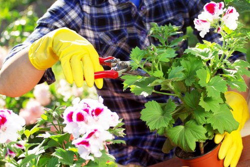 Professional garden clearance in Forest Gate