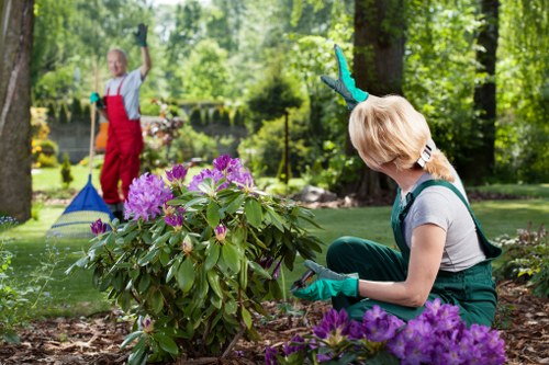 Professional lawn mowing service in Forest Gate