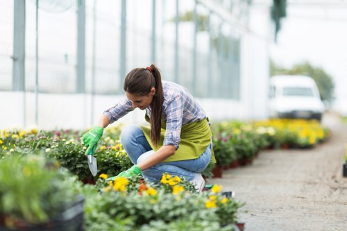 A young woman in a greenhouse or garden centre is crouching down on a paved pathway, carefully tending to a bed of colorful flowering plants. She is wearing a checkered shirt, blue jeans, and green gardening gloves, and appears to be using a small hand tool to prune or plant. The garden bed in front of her contains a variety of leafy greens and vibrant yellow and purple flowers, with soil and mulch visible at the plant bases. In the background, there are more flower beds extending along the pathway, greenhouses with glass panels reflecting the outdoor natural light, and a white van parked outside, indicating a commercial gardening environment. The scene is well-lit, suggesting a bright, mild day with natural sunlight illuminating the outdoor space. This image illustrates professional gardening or landscaping activities typical of outdoor maintenance in gardens and nurseries in the Forest Gate area, supporting services offered by companies like Landscapers Forest Gate.