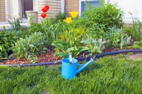 The image displays a well-maintained front garden area featuring a lush, green lawn with dense, evenly cut grass in the foreground. Separating the lawn from a flower bed is a black plastic edging strip. The flower bed contains a variety of vibrant, colorful flowers, including red and yellow tulips, along with leafy green plants and shrubs. In the center of the lawn, there is a light blue watering can positioned on the grass, indicating garden maintenance activity. Behind the flower bed, part of a house with white horizontal siding and a blue door is visible, suggesting a residential setting in Forest Gate. The scene is illuminated by natural daylight, with clear weather conditions, highlighting the vivid colours of the flowers and the healthy appearance of the lawn. This outdoor space exemplifies a typical domestic garden prepared for gardening services, emphasizing grass care, flower bed maintenance, and general outdoor landscaping with a focus on natural tones and structured plant layout.
