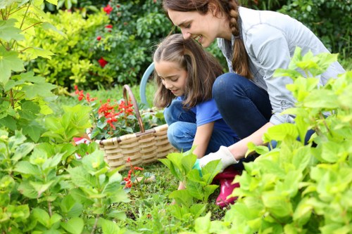 Planning a garden renovation in Forest Gate with layout and materials