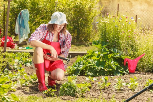 A woman wearing a sun hat, red rubber boots, and a red apron is kneeling in a garden, tending to young plants in neatly arranged beds with green foliage. The garden features a mix of cultivated soil, small flowering plants, and leafy vegetables, with a background of taller plants and shrubs. To the side, there is a pink watering can resting on the soil, and laundry hanging on a clothesline visible in the distance. The outdoor space is bathed in natural sunlight, with a partly cloudy sky and lush greenery surrounding the garden, which is located in a residential area consistent with Forest Gate in London. The scene emphasizes active gardening and outdoor maintenance, aligning with services offered by Landscaping Forest Gate and relevant to local gardening and landscaping needs.