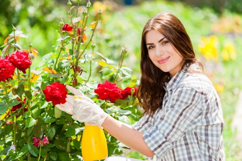 In the image, a young woman with long brown hair, dressed in a light blue and white checkered shirt, is tending to a vibrant red rose bush in a well-maintained garden. She is wearing white gardening gloves and holding a yellow spray bottle, likely for watering or pest control. The garden features lush green foliage, with a mix of flowering plants and shrubs, and the background displays a sunny outdoor space with a soft focus on additional greenery and flowering plants. The scene highlights a neat, landscaped garden typical of outdoor spaces maintained by professional gardening services in Forest Gate, London, with the setting suggesting clear weather and good natural light. The image aligns with gardening and landscaping themes associated with the services offered by Landscapers Forest Gate, emphasizing careful plant maintenance and garden care in a residential setting, with a focus on vibrant colours, healthy plant growth, and attentive garden management.