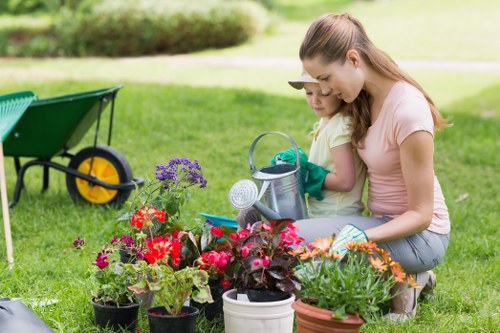 Choosing the right lawn care services