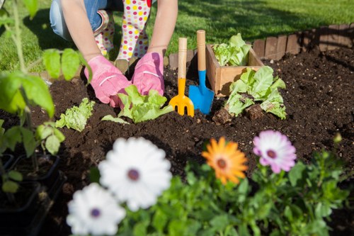 Well-manicured lawn maintained by experts