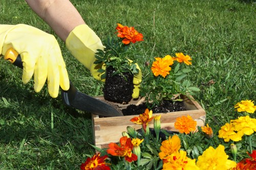 A close-up view of a gardener's hand wearing a yellow gardening glove, using a small trowel to plant vibrant orange and yellow flowering plants into dark, moist soil inside a wooden planter box. The planter is situated on a well-maintained, lush green lawn, with additional flowering plants in the foreground, and the background features more grass and garden elements. The outdoor environment appears to be in natural daylight, indicative of a clear, sunny day, and the scene reflects typical gardening activities associated with lawn care and plant maintenance in a residential garden setting near Forest Gate, London. The image emphasizes healthy plant growth, soil management, and outdoor garden upkeep relevant to local landscaping services.