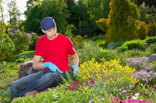 A man wearing a red t-shirt, blue gloves, and a patterned blue cap is sitting on a low stone wall in a well-maintained garden in Forest Gate, London. The garden features a variety of flowering plants, including yellow, purple, and pink blossoms, arranged in neat flower beds bordered by lush green foliage. Behind him are tall trees and dense shrubs, creating a vibrant and natural outdoor environment. The lawn in the foreground is dense and evenly trimmed, with soft shadows suggesting it is a sunny day. The garden appears to be a landscaped outdoor space, possibly part of a residential or community garden, with a focus on floral display and green plantings. The scene reflects professional gardening and landscaping work, emphasizing tidy borders, healthy plants, and a lush, inviting atmosphere, fitting for services offered by Landscapers Forest Gate in the local area.