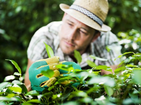 Eco-friendly garden maintenance tools