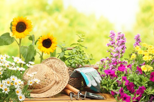 A vibrant garden scene featuring a wooden outdoor surface with a variety of flowering plants, including tall sunflowers with bright yellow petals and dark centers, clusters of pink and purple flowers, and white daisies with yellow centers. The background showcases a blurred grassy area and lush greenery, indicating a well-maintained landscaped yard. On the wooden surface, there are gardening tools such as pruning shears, gardening gloves, and a straw hat, suggesting recent gardening or planting activities. The scene is illuminated by natural sunlight, highlighting the vivid colours and healthy foliage, and reflects a serene outdoor environment typical of a landscaped garden in Forest Gate, suitable for gardening services related to flower bed creation and landscape maintenance.