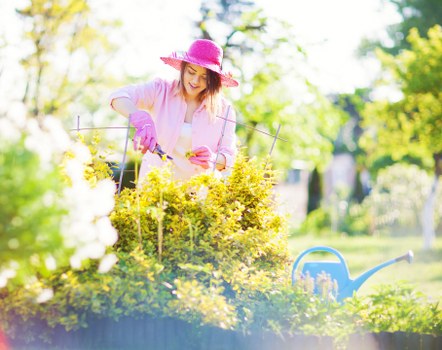 Spring garden maintenance activities in Forest Gate