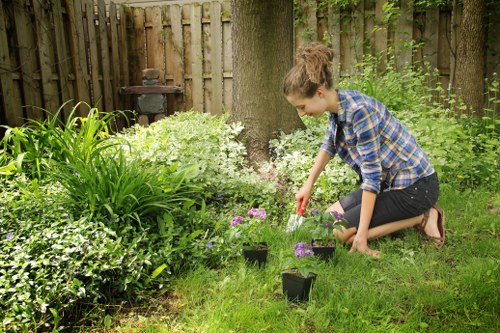 A young woman kneels in a lush front garden with a wooden fence in the background, tending to flowering plants and young saplings in small black pots. The garden features a well-maintained grassy lawn, various green shrubs, and flower beds with blooming purple and white flowers, alongside taller plants and dense foliage near the fence. She is wearing a blue and black checkered shirt, black jeans, and sandals, and is watering the plants with a small garden watering can. Large trees provide partial shade, and a garden barbecue or outdoor oven can be seen in the background, indicating a landscaped outdoor space suitable for garden maintenance and landscaping services. The scene is lit by natural daylight, suggesting a mild weather day typical for outdoor gardening in Forest Gate, London, supporting gardening and landscaping activities offered by companies like Landscapers Forest Gate.