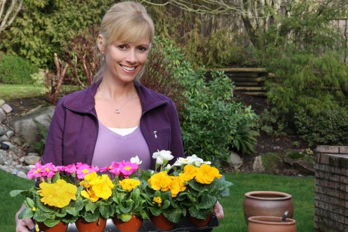Sustainable garden maintenance practices with eco-friendly tools