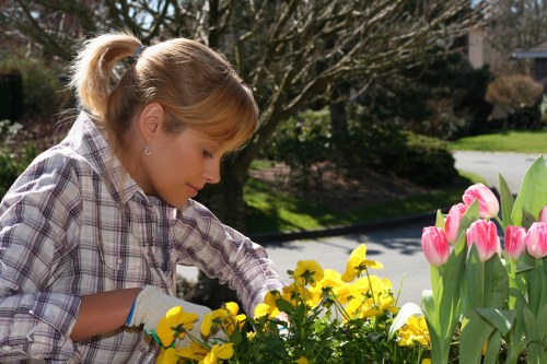A woman with blonde hair tied back, wearing a plaid shirt and gardening gloves, tending to a garden in a suburban outdoor space. The garden features a variety of flowering plants, including bright yellow blossoms and pink tulips situated to her right. The background reveals a neatly maintained lawn, a paved pathway, and a line of trees with bare branches, indicating early spring or late autumn. Sunlight illuminates the scene, casting natural light across the garden and highlighting the vibrant colours of the flowers. The setting suggests a well-organised residential garden area typical of local gardening and landscaping services in Forest Gate, incorporating elements such as flower beds, lawn, and ornamental plants to enhance outdoor aesthetics and support sustainable gardening practices.