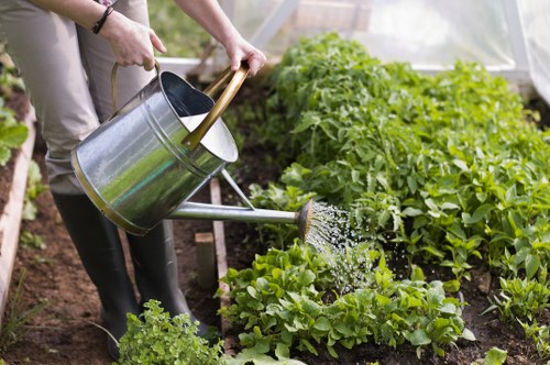A person in gardening attire is watering a vegetable garden with a large metal watering can, pouring water directly onto leafy greens. The garden is situated outdoors within a greenhouse, featuring neatly planted rows of various vegetables with dark, rich soil and healthy, green foliage. In the background, there are taller plants, possibly tomatoes or similar crops, supported by stakes or trellises, and the greenhouse structure's transparent panels allow natural light to illuminate the space. The scene depicts a well-maintained outdoor gardening area typical of residential properties in Forest Gate, with emphasis on sustainable and thoughtful planting practices. This image supports gardening and landscaping services offered by Landscapers Forest Gate focused on lawn care, vegetable garden maintenance, and outdoor environment improvements in the local area.