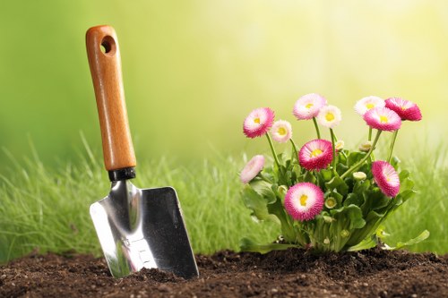 Professional lawn care service in Forest Gate